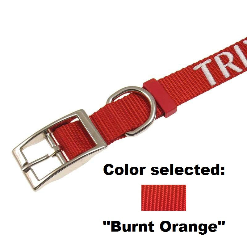Dog Collar - 1" Width - Personalized Embroidery (Traditional Style), - Lucky Pet